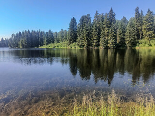 Crystal Clear Forest Lake Reflecting Blue Sky