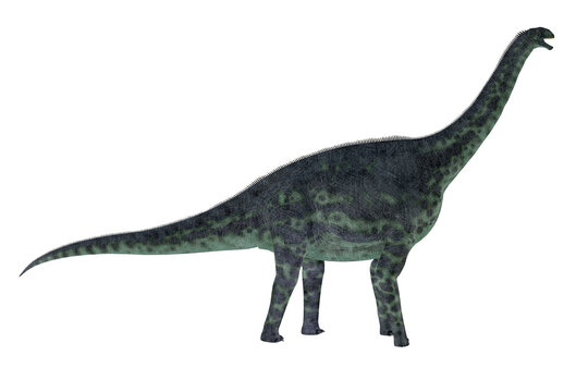 Cetiosaurus Dinosaur Walking - Cetiosaurus was a herbivorous sauropod Titanosaur that lived in Africa during the Jurassic Period.