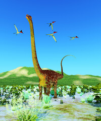 Titanosaur Diplodocus Dinosaur - A flock of Pterodactylus Pterosaurs fly over a Diplodocus Titanosaur sauropod dinosaur during the Jurassic Period. © Catmando