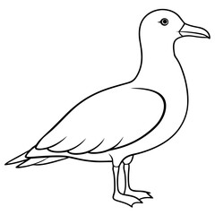 illustration of a bird