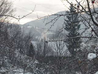 Smoke from the house's chimney. Winter in a village in the Transcarpathia region. Scenic snowy Carpathian mountains view