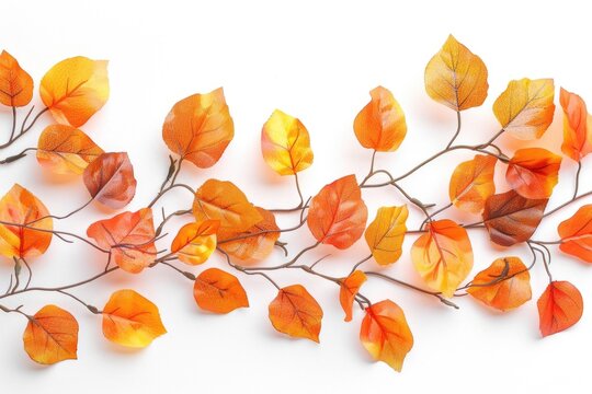 Close-up of a bunch of leaves on a branch, suitable for nature or outdoor themed designs