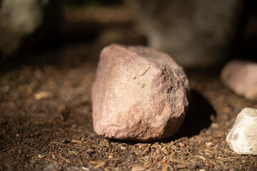Stones in the forest. Beautiful stones standing on the ground. Natural objects.