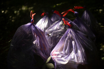 Purple bags of rubbish. Cleaning up in the forest. A bag of rubbish.