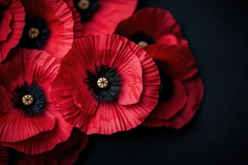 A cluster of bright red flowers on a dark surface