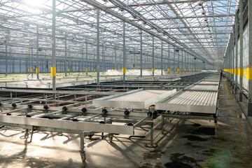 Naklejka premium Agriculture business, horticulture. Contemporary efficient technologies. Modern large commercial greenhouse construction producing organic vegetables and lettuce. Sustainable farming. Greenery. 