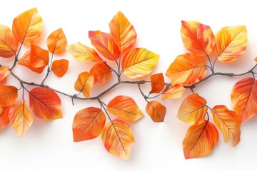 Obraz premium A detailed view of a tree branch with leaves, perfect for nature or botanical-themed uses