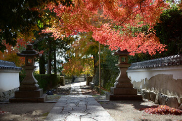 比叡山里坊　慈眼堂　参道の紅葉　 滋賀県大津市坂本