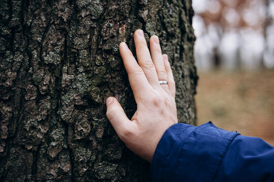 Hand touching tree bark in a forest, connection with nature