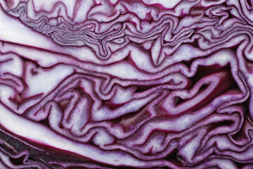Obraz premium Abstract macro background, fresh red cabbage pattern