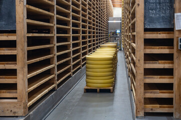 Aging rooms with shelves in cheese caves, central location for aging of wheels, rounds of Comte cheese from four months to several years made from raw cow milk, Jura, France