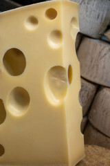 Swiss cheese collection, yellow emmentaler or emmental cheese with round holes close up