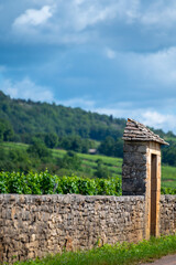 Walled clos vineyards around Puligny-Montrachet village, Burgundy, France. High quality white dry...