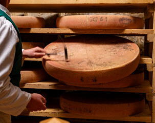 Cheese check in aging rooms with shelves in caves, central location for aging of wheels, rounds of Comte cheese from four months to several years made from unpasteurised cow milk, Jura, France