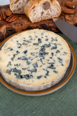 Cheese collection, piece of French blue cheese auvergne or fourme d'ambert