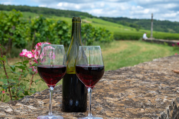 Tasting of red pinot noir wine on grand cru vineyards with cross and stone walls in Cote de nuits, making of famous red and white Burgundy wine in Burgundy region, Vosne-Romanee village