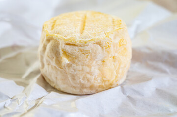 Cheese collection, soft goat French cheese with mold crottin de Chavignol produced near Sancerre on cheese farm, Loire Valley close up