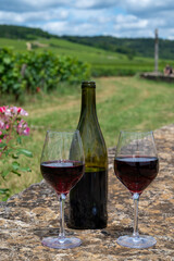 Tasting of red pinot noir wine on grand cru vineyards with cross and stone walls in Cote de nuits, making of famous red and white Burgundy wine in Burgundy region, Vosne-Romanee village