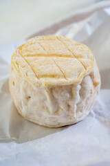 Cheese collection, soft goat French cheese with mold crottin de Chavignol produced near Sancerre on cheese farm, Loire Valley close up