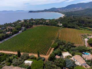 Aerial view on hills, houses and green vineyards Cotes de Provence, production of rose wine near Saint-Tropez and Pampelonne beach, Var, France in summer