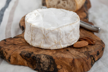 French soft Camembert cheese, original Camembert de Normandie made from raw cow milk