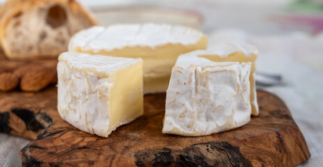 French soft Camembert cheese, original Camembert de Normandie made from raw cow milk