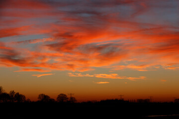 Fototapeta premium Vibrant sunset hues paint a dramatic sky, silhouetted trees and power lines. Warm colors and dark silhouettes.