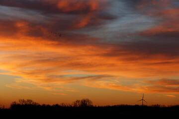 Sunset sky, fiery orange and gold hues, with silhouetted trees and a wind turbine. Birds in flight.  A tranquil scene.