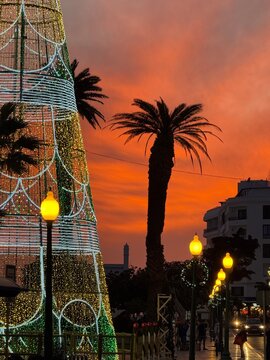 Escena festiva al atardecer con estructura navide&ntilde;a, palmeras y farolas encendidas en un entorno c&aacute;lido