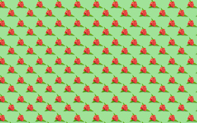 Pattern of fresh raspberry on green background