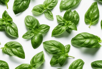 Collection of fresh green basil leaves isolated against a white background