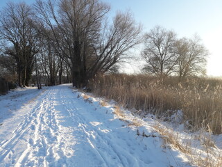 Winterlicher Weg am See