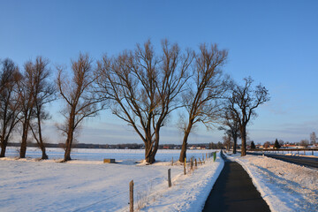 Obraz premium Landschaft im Winter mit Radweg