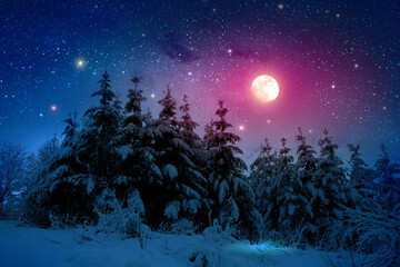 Winter forest with full moon and stars sky .