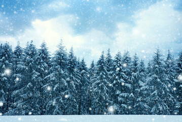 Merry Christmas background with snowfall in winter forest.