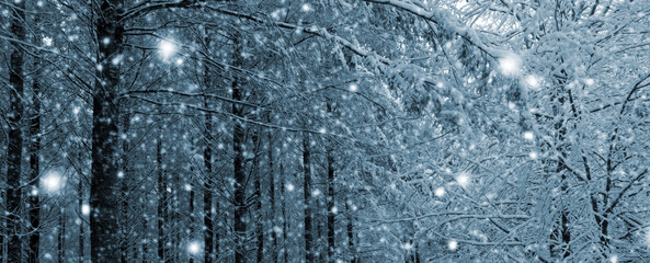 Merry Christmas background with snowfall in winter forest.