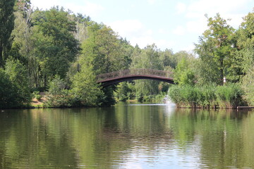 Fototapeta premium Bridge in the park. Landscape design