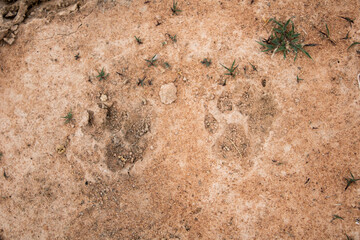 texture of stone