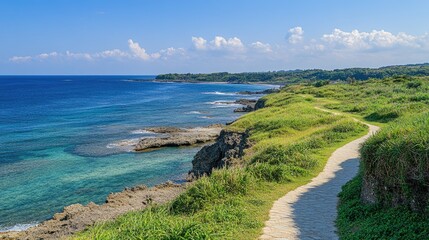 Fototapeta premium Scenic Coastal Pathway Along Vibrant Blue Ocean and Green Landscape