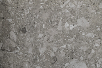 Smooth terrazzo texture for flooring and decorative surfaces