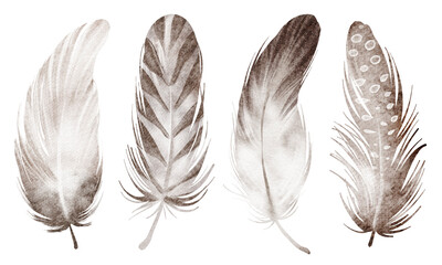 Watercolor illustration of feathers in vintage style. Hand-drawn set with quills and plumage for textile, wrapping paper, or wallpaper designs. Ideal for avian-themed projects for projects. © Elena