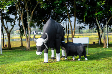 Statue of a mother and baby bull on the lawn is a landmark of Wang Nam Khiao, Thailand.