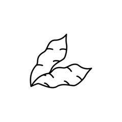 Sweet potato icon line art vector