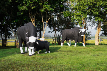 Statue of bulls on the lawn is a landmark of Wang Nam Khiao, Thailand.