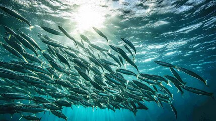 A Massive School Of Fish Swimming In Sunlight