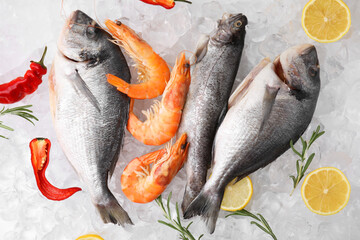 Fresh raw sea food and products on ice cubes, flat lay