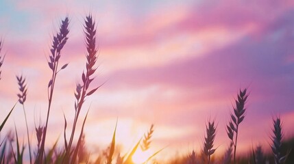 Obraz premium A serene landscape featuring tall grass silhouetted against a vibrant sunset sky, perfect for nature-themed projects, background images, or wellness materials relating to tranquility and beauty,
