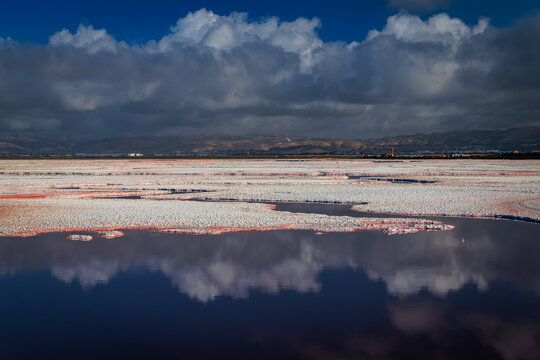Pink salt flats, Alviso Marina County Park, San Jose, California caused by algae