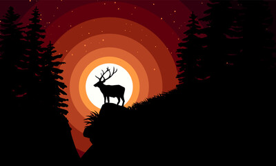 A deer standing in forest at sunset