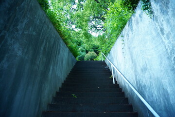 自然の森へ抜ける階段 山へ行って解放されリトリート